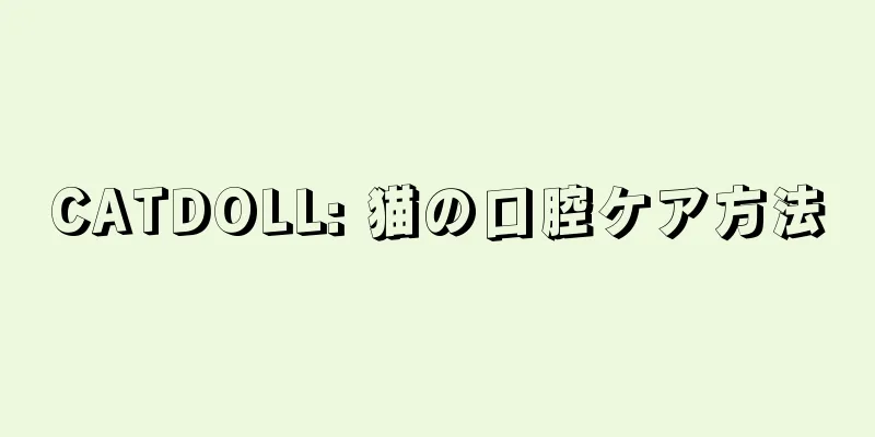 CATDOLL: 猫の口腔ケア方法