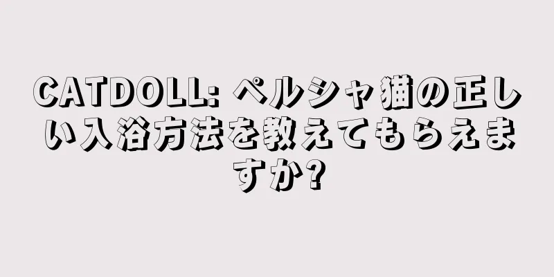 CATDOLL: ペルシャ猫の正しい入浴方法を教えてもらえますか?