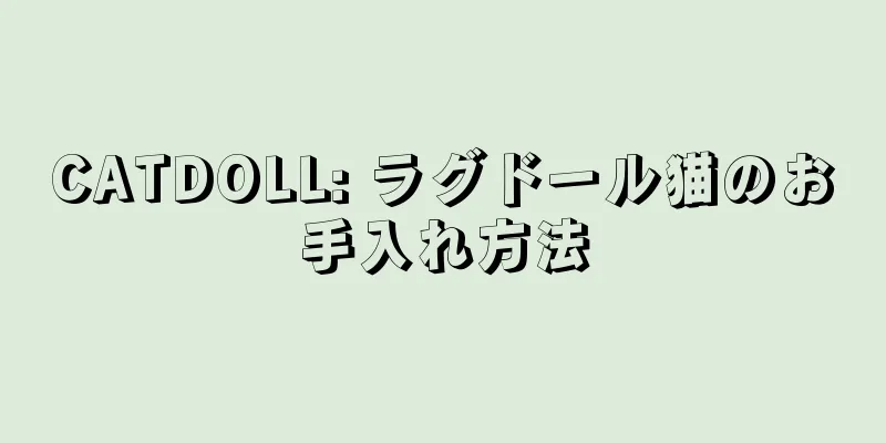 CATDOLL: ラグドール猫のお手入れ方法