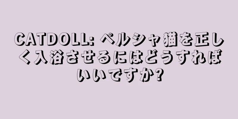 CATDOLL: ペルシャ猫を正しく入浴させるにはどうすればいいですか?