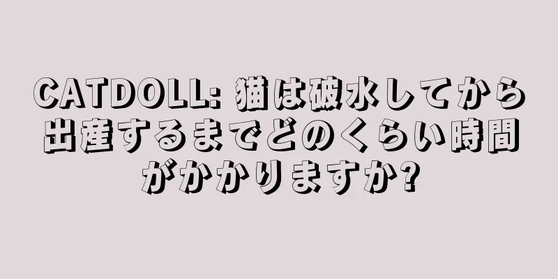 CATDOLL: 猫は破水してから出産するまでどのくらい時間がかかりますか?