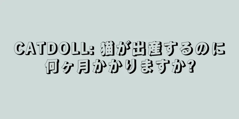CATDOLL: 猫が出産するのに何ヶ月かかりますか?