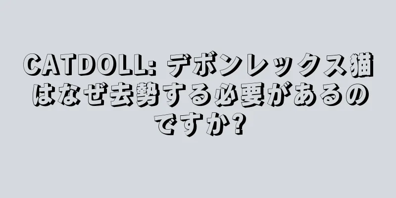 CATDOLL: デボンレックス猫はなぜ去勢する必要があるのですか?
