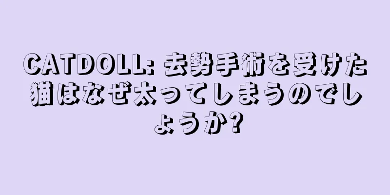 CATDOLL: 去勢手術を受けた猫はなぜ太ってしまうのでしょうか?