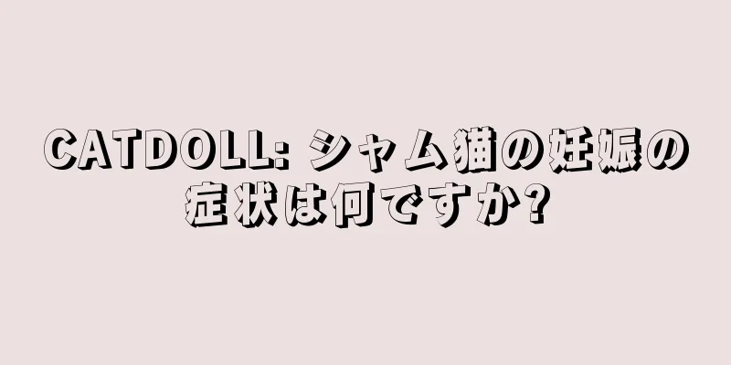 CATDOLL: シャム猫の妊娠の症状は何ですか?