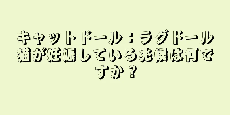 キャットドール：ラグドール猫が妊娠している兆候は何ですか？