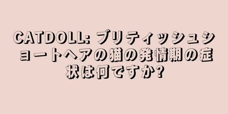 CATDOLL: ブリティッシュショートヘアの猫の発情期の症状は何ですか?