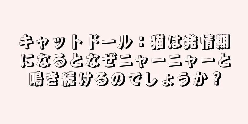 キャットドール：猫は発情期になるとなぜニャーニャーと鳴き続けるのでしょうか？