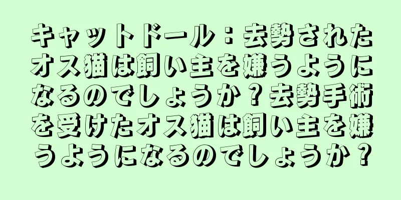 キャットドール：去勢されたオス猫は飼い主を嫌うようになるのでしょうか？去勢手術を受けたオス猫は飼い主を嫌うようになるのでしょうか？