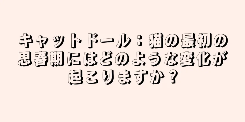 キャットドール：猫の最初の思春期にはどのような変化が起こりますか？