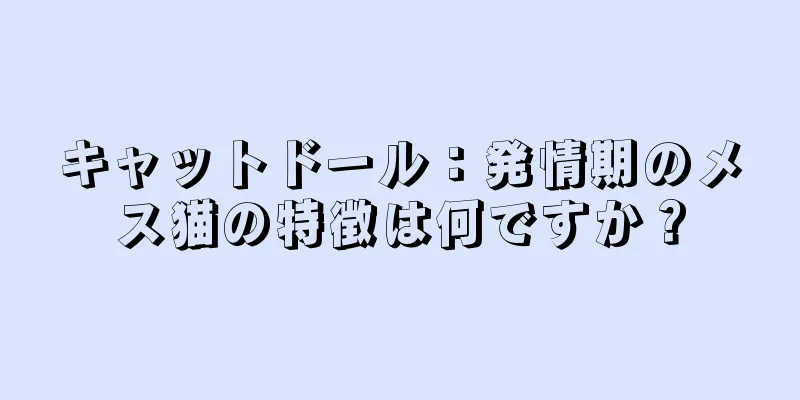 キャットドール：発情期のメス猫の特徴は何ですか？