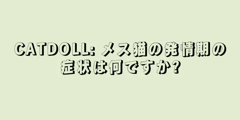 CATDOLL: メス猫の発情期の症状は何ですか?