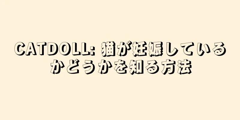 CATDOLL: 猫が妊娠しているかどうかを知る方法