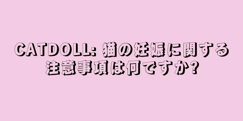 CATDOLL: 猫の妊娠に関する注意事項は何ですか?