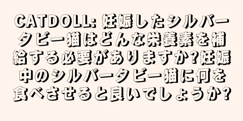 CATDOLL: 妊娠したシルバータビー猫はどんな栄養素を補給する必要がありますか?妊娠中のシルバータビー猫に何を食べさせると良いでしょうか?