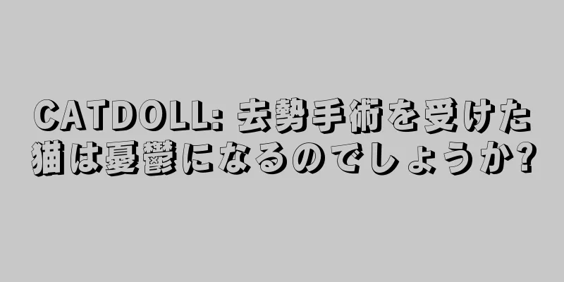 CATDOLL: 去勢手術を受けた猫は憂鬱になるのでしょうか?