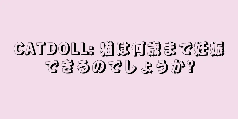 CATDOLL: 猫は何歳まで妊娠できるのでしょうか?
