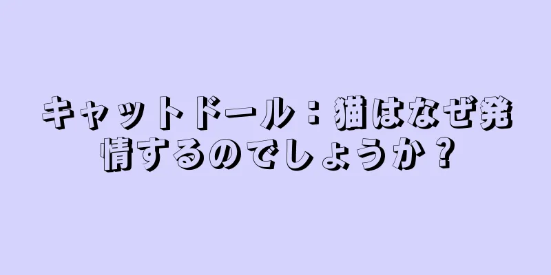 キャットドール：猫はなぜ発情するのでしょうか？
