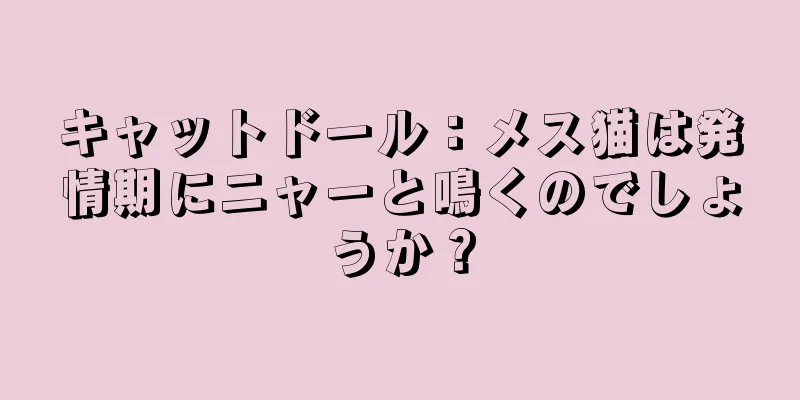 キャットドール：メス猫は発情期にニャーと鳴くのでしょうか？