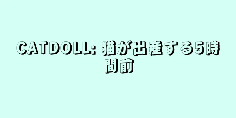 CATDOLL: 猫が出産する5時間前