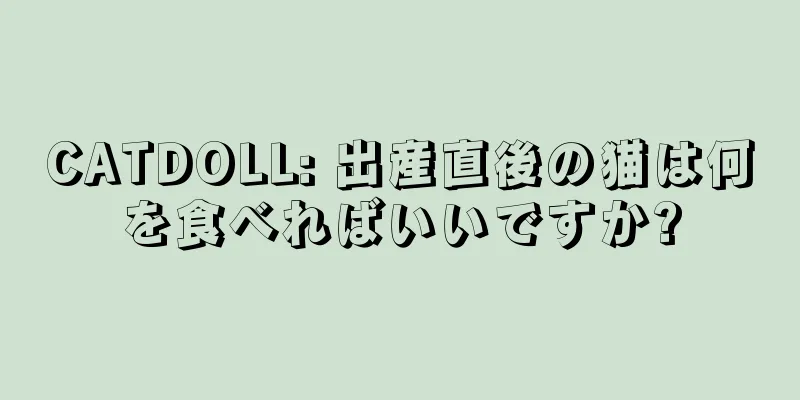 CATDOLL: 出産直後の猫は何を食べればいいですか?