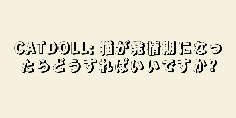 CATDOLL: 猫が発情期になったらどうすればいいですか?