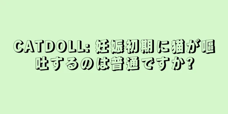 CATDOLL: 妊娠初期に猫が嘔吐するのは普通ですか?