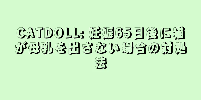 CATDOLL: 妊娠65日後に猫が母乳を出さない場合の対処法