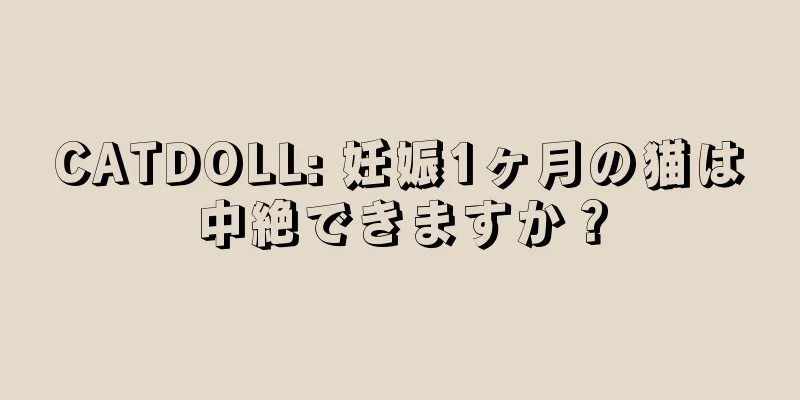 CATDOLL: 妊娠1ヶ月の猫は中絶できますか？