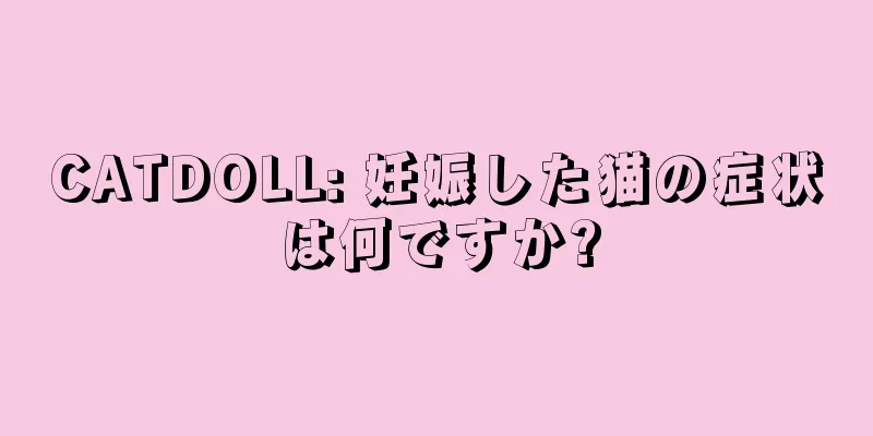 CATDOLL: 妊娠した猫の症状は何ですか?