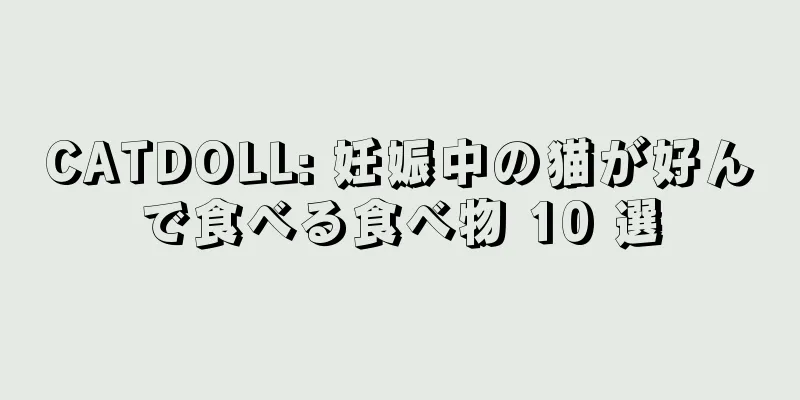 CATDOLL: 妊娠中の猫が好んで食べる食べ物 10 選