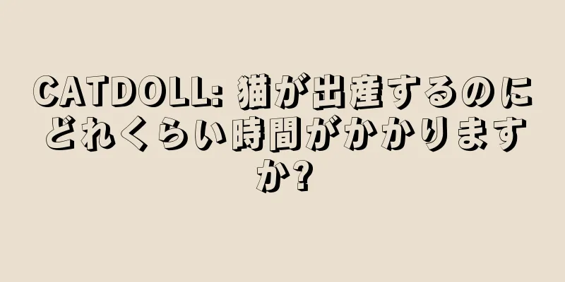 CATDOLL: 猫が出産するのにどれくらい時間がかかりますか?