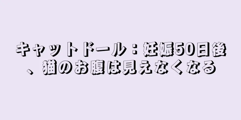 キャットドール：妊娠50日後、猫のお腹は見えなくなる