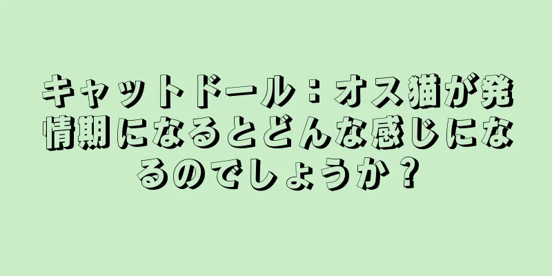キャットドール：オス猫が発情期になるとどんな感じになるのでしょうか？