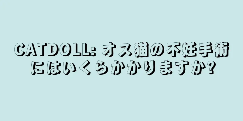 CATDOLL: オス猫の不妊手術にはいくらかかりますか?