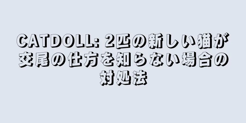 CATDOLL: 2匹の新しい猫が交尾の仕方を知らない場合の対処法
