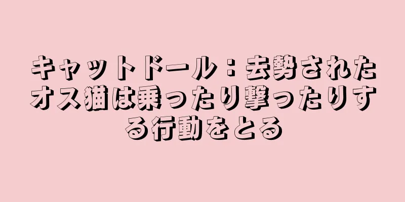 キャットドール：去勢されたオス猫は乗ったり撃ったりする行動をとる