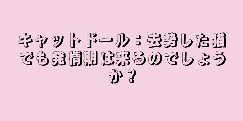 キャットドール：去勢した猫でも発情期は来るのでしょうか？
