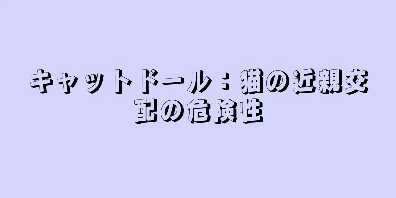 キャットドール：猫の近親交配の危険性