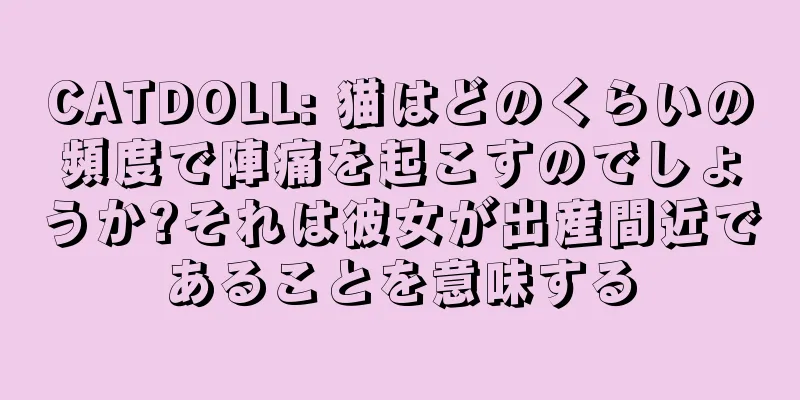 CATDOLL: 猫はどのくらいの頻度で陣痛を起こすのでしょうか?それは彼女が出産間近であることを意味する