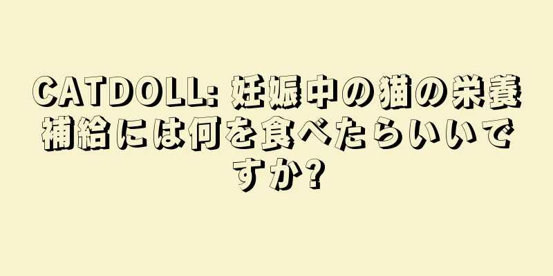 CATDOLL: 妊娠中の猫の栄養補給には何を食べたらいいですか?