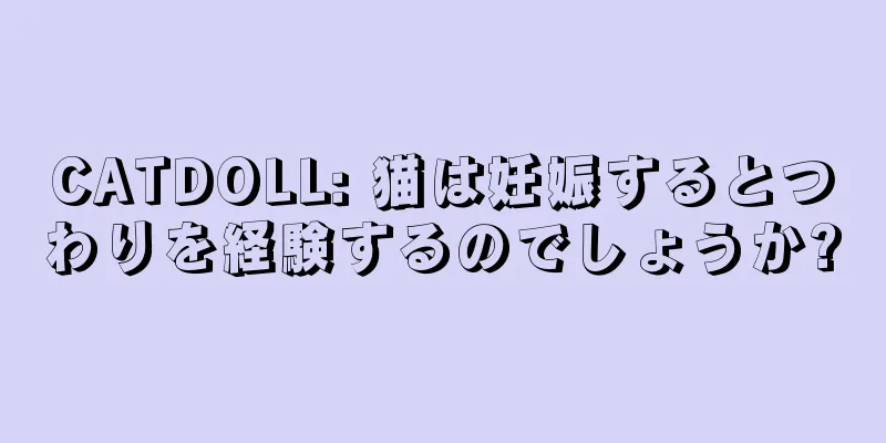 CATDOLL: 猫は妊娠するとつわりを経験するのでしょうか?