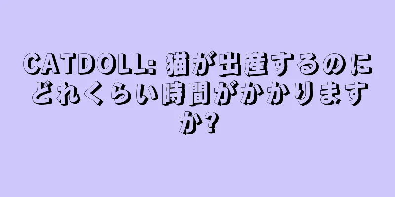 CATDOLL: 猫が出産するのにどれくらい時間がかかりますか?