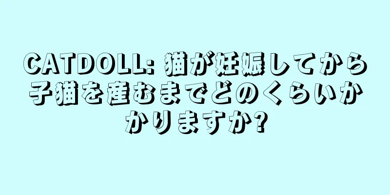 CATDOLL: 猫が妊娠してから子猫を産むまでどのくらいかかりますか?