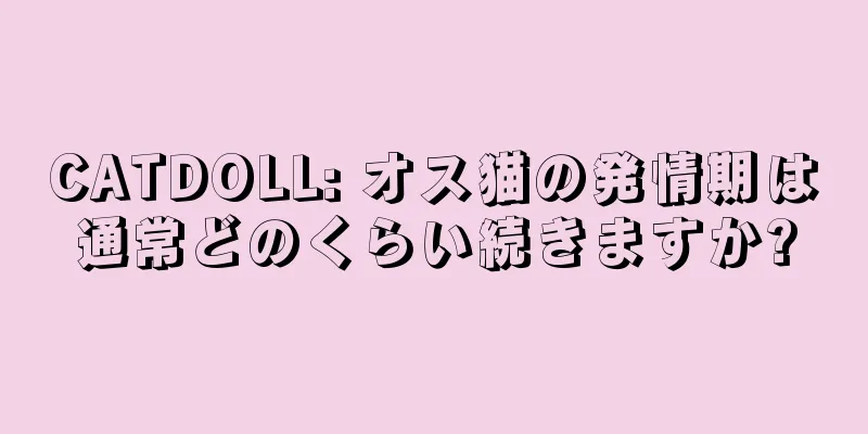 CATDOLL: オス猫の発情期は通常どのくらい続きますか?