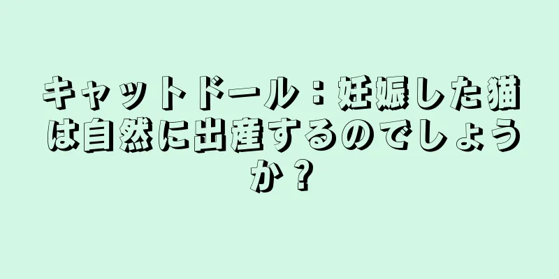 キャットドール：妊娠した猫は自然に出産するのでしょうか？