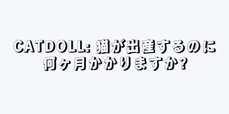 CATDOLL: 猫が出産するのに何ヶ月かかりますか?