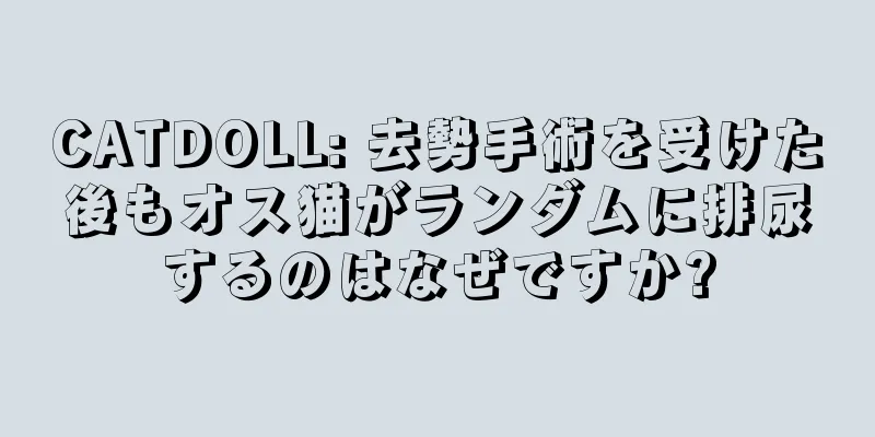 CATDOLL: 去勢手術を受けた後もオス猫がランダムに排尿するのはなぜですか?