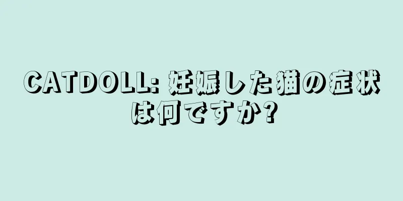 CATDOLL: 妊娠した猫の症状は何ですか?