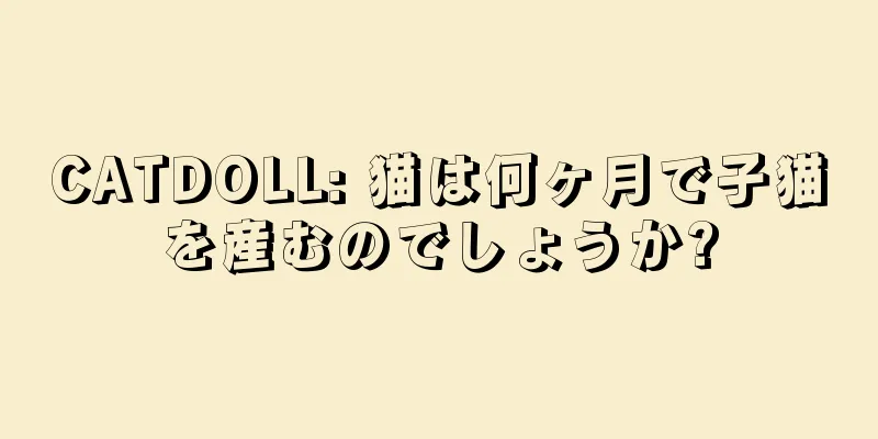 CATDOLL: 猫は何ヶ月で子猫を産むのでしょうか?